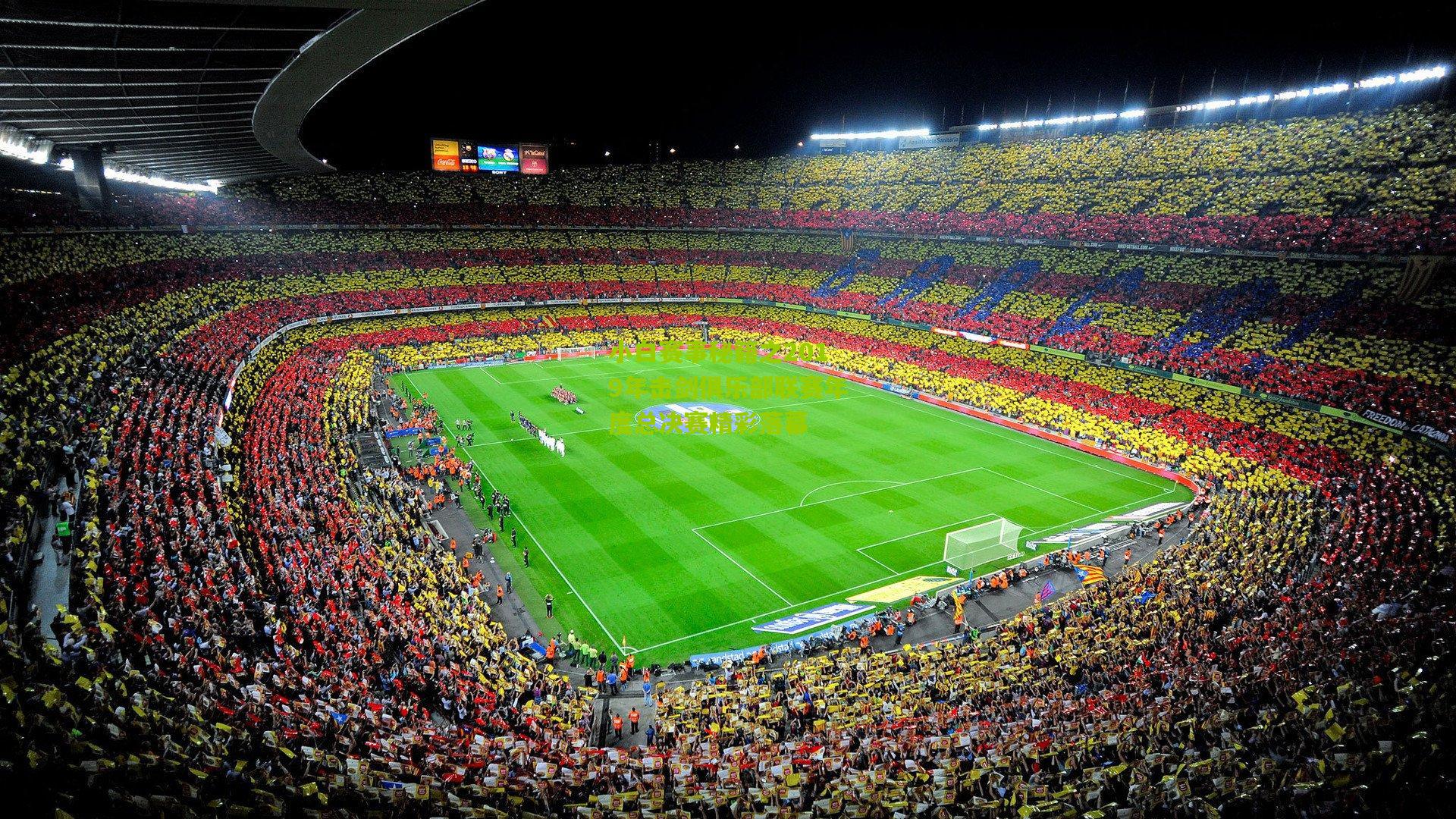 小白赛事秘籍之2019年击剑俱乐部联赛年度总决赛精彩落幕